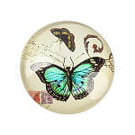 Schmetterling bedrucktes Glas halbrund / Kuppel Cabochons, Zitronen-Chiffon, 12x4 mm