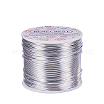 BENECREAT 17 Gauge(1.2mm) Aluminum Wire 380FT(116m) Anodized Jewelry Craft Making Beading Floral Colored Aluminum Craft Wire - Silver