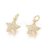Латунь подвески ZIRC-L087-049G