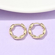 Овальные серьги-кольца из латуни EJEW-Z102-34G