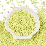 Выпечка краска стеклянные бусины SEED-T006-03D