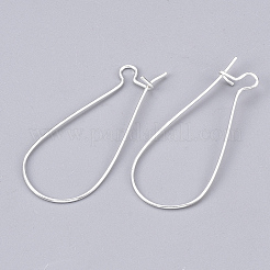 Железные серьги&nbsp;IFIN-T007-13S-NF