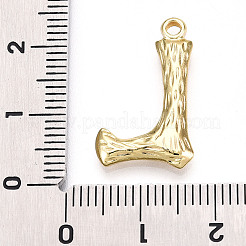 Pendentifs en acier inoxydable 304&nbsp;STAS-N117-01G-L