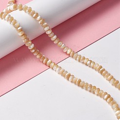 Fili di perle di conchiglia trochid naturale / trochus&nbsp;SSHEL-O001-24A-01