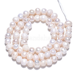 Нити из натурального культивированного пресноводного жемчуга X-PEAR-N013-05H