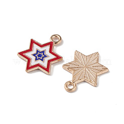 Подвески из сплава с эмалью ко дню независимости&nbsp;ENAM-K067-36