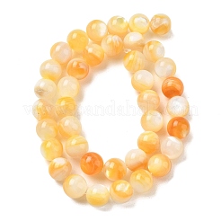 Naturali giallo perline shell fili&nbsp;SH-CBACA76-16C