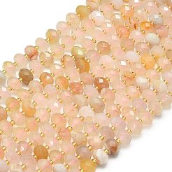 Натуральные вишневые агатовые бусины&nbsp;G-P573-A22-01