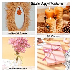 Лента из рафии&nbsp;OCOR-I012-A11