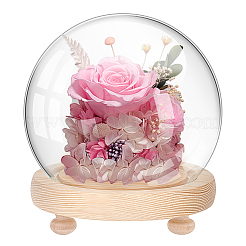 1 шт. стеклянный купол DJEW-PH0001-40