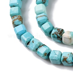 Природные Говлит бисер нитей&nbsp;G-G001-A02-03