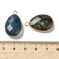 Подвески с огранкой из натуральных смешанных драгоценных камней&nbsp;G-K354-03KCG