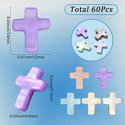 60шт натуральные пресноводные бусины из ракушек SSHEL-SC0001-40