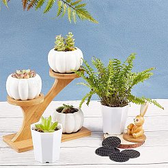 Набор для бонсай своими руками&nbsp;DIY-GA0001-10