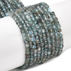 Природного апатита нитей бисера G-RM250104-C8