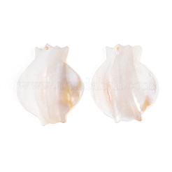 Естественных пресноводных оболочки большие кулоны SHEL-N038-17