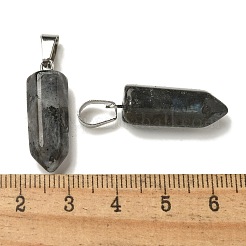 Природные подвески лабрадорита&nbsp;G-Z067-07P-24