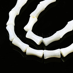Нити бусин из натуральных пресноводных ракушек SHEL-N026-150