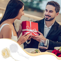 2 рулон OCOR-FG0002-06