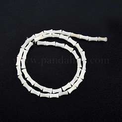 Нити бусин из натуральных пресноводных ракушек SHEL-G013-01B