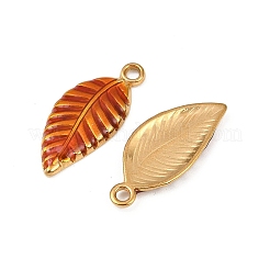 Подвески из нержавеющей стали 304 с эмалью&nbsp;STAS-Z140-01G-02