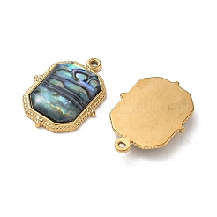 Natur Paua Muschel Anhänger&nbsp;STAS-G397-10G-02