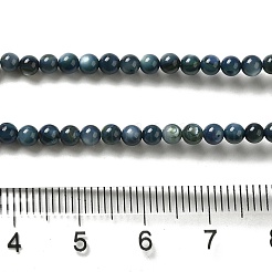 Naturali di acqua dolce perline shell fili&nbsp;SHEL-H003-03C