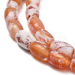 Нити бусин из натурального агата (окрашенного и нагретого) G-D341-A01