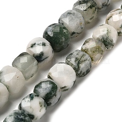 Натурального дерева агат бисер нитей G-H078-C06-01