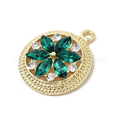 Подвески из сплава и страза&nbsp;FIND-H055-09G