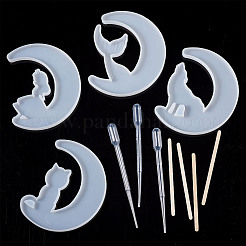 Наборы силиконовых форм для луны своими руками DIY-TA0008-30