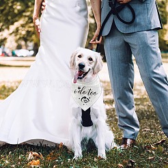 Хлопковый собачий платок AJEW-WH0503-097