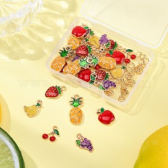 30шт 6 стиля подвески из сплава с эмалью&nbsp;ENAM-FP0002-11