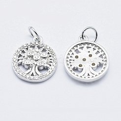 Латунные микропаве прозрачные кубические циркониевые подвески&nbsp;ZIRC-J040-10P-NR