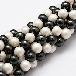 Shell fili di perle perline, grado a, tondo, colore misto, 8mm, Foro: 1 mm, circa 49~52pcs/filo, 16 pollice