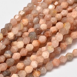 Facettiert bicone natürliche sunstone Perlen Stränge, 6x6 mm, Bohrung: 1 mm, ca. 66 Stk. / Strang, 15.4 Zoll