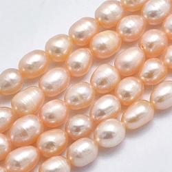 Natural Cultured Freshwater Pearl Beads Strands, Rice, Light Salmon, 7~8x6~7mm, Hole: 0.8mm, about 40pcs/strand, 14.17 inch(36cm)