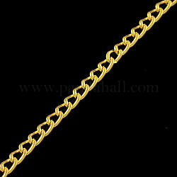 Unwelded Iron Curb Chains, with Spool, Golden, 3.2x2.2x0.6mm, about 328.08 Feet(100m)/roll