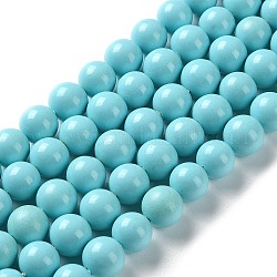 Chapelets de perles de coquille, Grade a, polie, ronde, turquoise, 8mm, Trou: 0.8mm, Environ 47~50 pcs/chapelet, 16 pouce