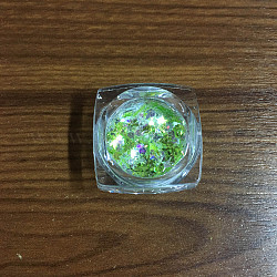 Lucidi accessori per la decorazione di nail art, con glitter in polvere e paillettes, unghie scintillanti fai-da-te, verde chiaro, 1~5x1~5mm, circa 0.8 g / scatola