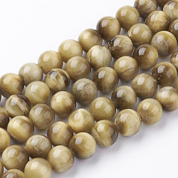 Brins de perles d'oeil de tigre d'or naturel, Grade a, ronde, 10mm, Trou: 1mm, Environ 19 pcs/chapelet, 7.5 pouce