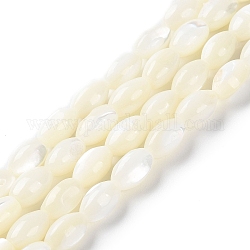Fili di perline di conchiglia trochus naturale, riso, bianco floreale, 7.5x4.5~5mm, Foro: 0.8 mm, circa 52pcs/filo, 15.75'' (40 cm)