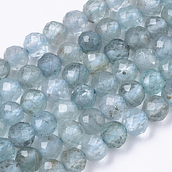 Chapelets de perles en apatite naturelle, ronde, facette, 3mm, Trou: 0.7mm, Environ 125 pcs/chapelet, 15.35 pouce (39 cm)