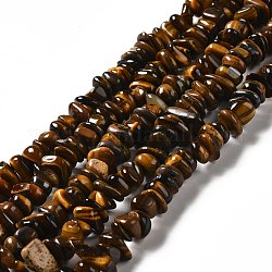 Chapelets de perles d'œil de tigre naturel, pépites, 2x7mm, Trou: 1mm, Environ 94 pcs/chapelet, 15.55'' (39.5 cm)