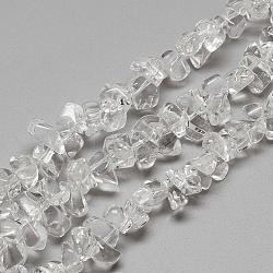 Chapelets de perles en cristal de quartz naturel, perles de cristal de roche, puce, 8~12x6~8x6~8mm, Trou: 1mm, Environ 100~110 pcs/chapelet, 15.7 pouce