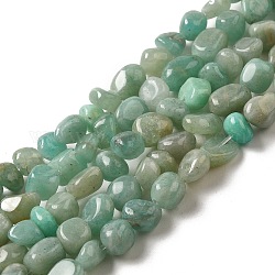 Chapelets de perles en amazonite naturelle, pépites, pierre roulée, 3.5~9x4~6.5x4~6mm, Trou: 1mm, 14.96'' (38 cm)