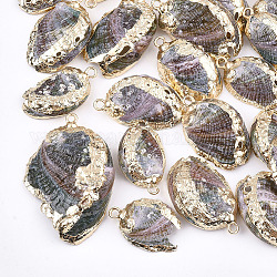 Pendentifs coquille de mer, avec les accessoires en fer, or clair, colorées, 20~35x14~24x4~7mm, Trou: 2mm