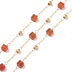 Natürliche quadratische Perlenketten aus rotem Achat, mit goldenem 304 Zubehör aus Edelstahl, ungeschweißte, 2~3x2~2.5x2~2.5 mm