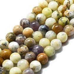 Perline naturali opale fili, tondo, 10~11mm, Foro: 1.2 mm, circa 37pcs/filo, 14.96'' (38 cm)