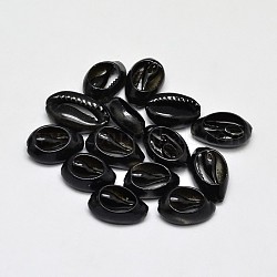 Natürliche Kaurimuschel Perlen, gefärbt, Oval, kein Loch / ungekratzt, Schwarz, 15~17x10~11x5~6 mm